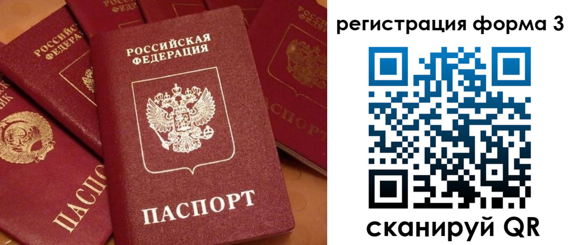 прописка для школы в Новочеркасске